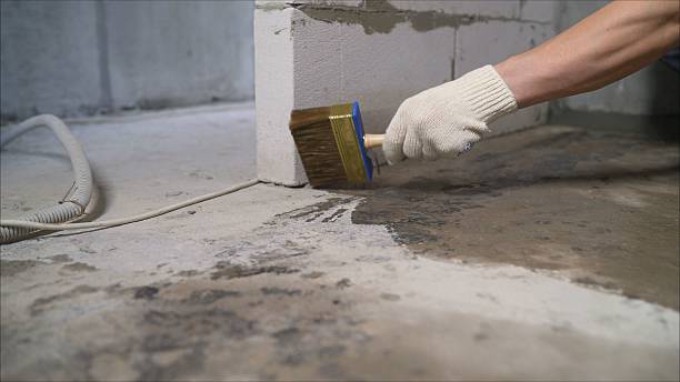 Top rated local Waterproofing specialists in Christiansburg, VA